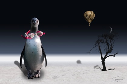 der pinguin des ballonfahrers