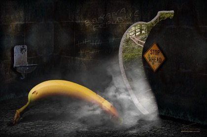 die angst des plantagenbesitzers vor der bananenflucht